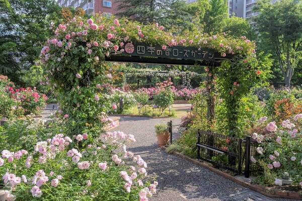 「練馬区立 四季の香 ローズガーデン」で春バラフェス、全342品種の薔薇が多彩に咲き誇る