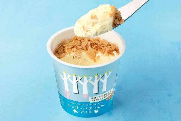 「シュガーバターの木」初のアイスがセブン-イレブン限定で、ミルキーホワイトチョコ×ごろっとクッキー