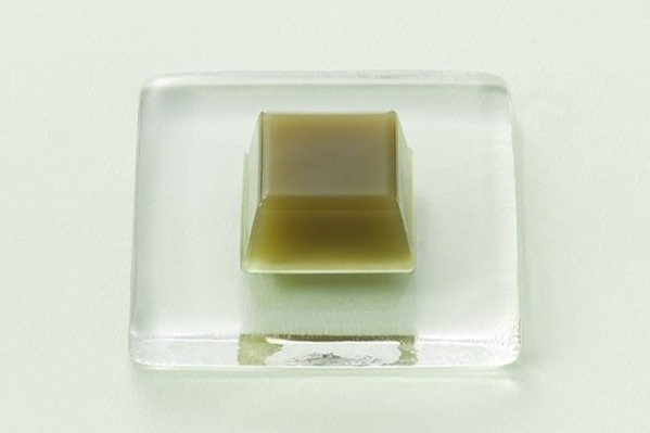 とらや25年初夏和菓子、香り高い水羊羹「抹茶」宇治抹茶×白餡のあんペーストも