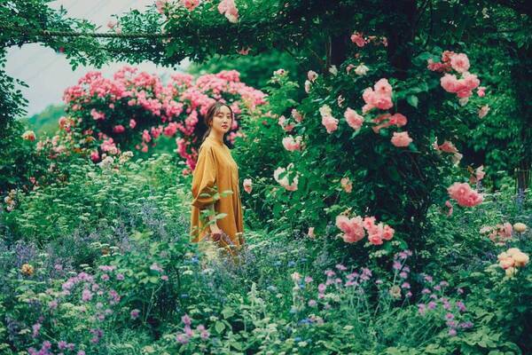 神戸布引ハーブ園、ラベンダー＆ローズが咲き誇る初夏のフラワーイベント