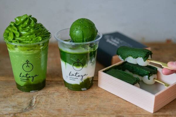 八十八良葉舎の新作“とろ～り”抹茶わらび餅ドリンク、ジェイアール名古屋タカシマヤで先行発売