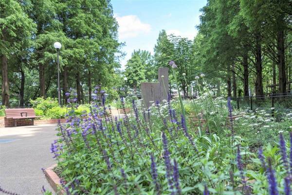 練馬区立 四季の香ローズガーデンで初夏のハーブフェア、180品種以上のハーブが見ごろに