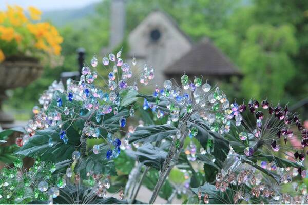 虹色に輝く「クリスタルガラスのあじさい」箱根ガラスの森美術館で、70種のカラフルな紫陽花も