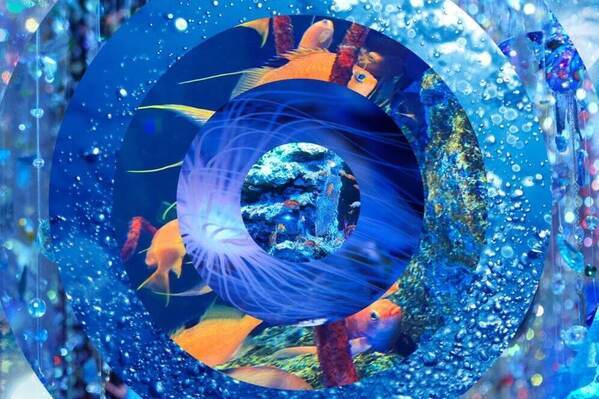 蜷川実花“日本最大級の球体水槽”使ったインスタレーション、神戸の水族館「アトア」で