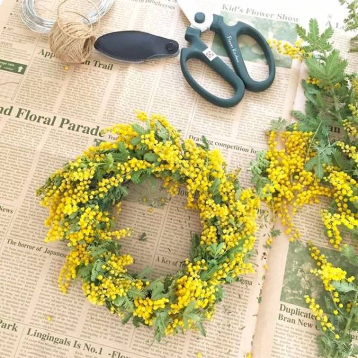 春の訪れを告げる花 ミモザ 近づく春をお部屋で感じて楽しもう 19年2月22日 ウーマンエキサイト 1 4