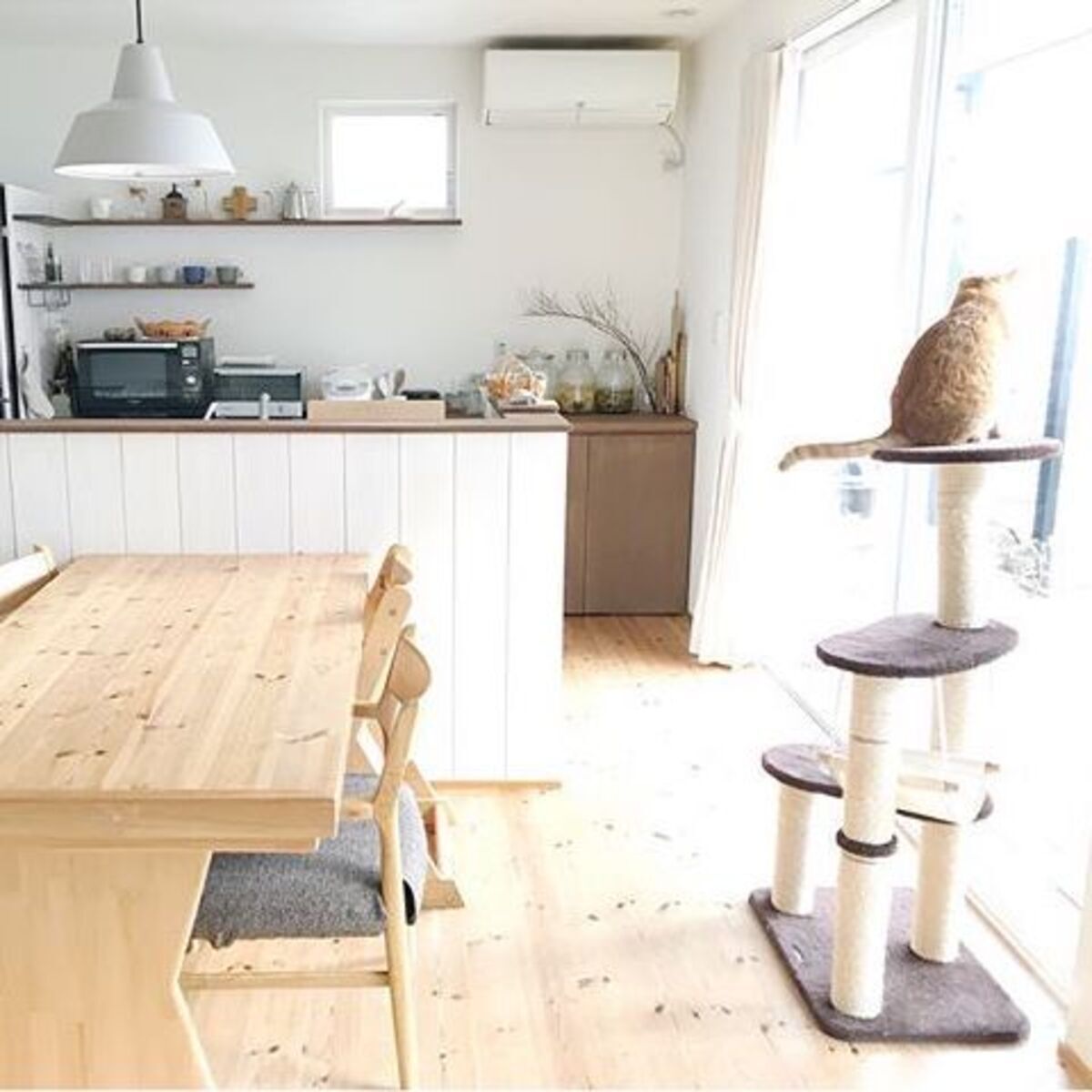 インテリアを整えて快適な空間に ペットと暮らす素敵なお部屋 を紹介 19年3月10日 ウーマンエキサイト 1 6