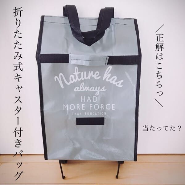 色々役立つ お気に入りの エコバッグ を見つけてお出掛けしよう 19年3月16日 ウーマンエキサイト 3 4