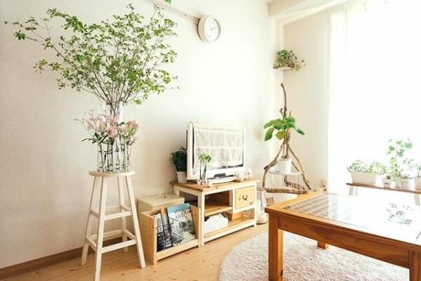 バイオフィリア って知ってる 19年のインテリアトレンドを取り入れよう 19年4月28日 ウーマンエキサイト 1 4