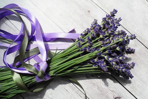 ラベンダーの花言葉 ハーブの女王と呼ばれる香りが素敵な花に込められた意味を解説 ウーマンエキサイト