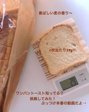 食パン3分の2程度の大きさ