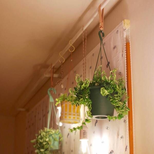 観葉植物をおしゃれに吊るせる。天井や壁に固定できる「ハンギングバー」