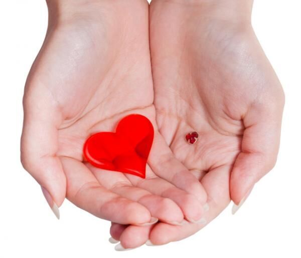two red hearts in female handful isolated