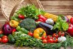 生野菜で“酵素”を摂ろう！サラダをおいしく食べる秘訣