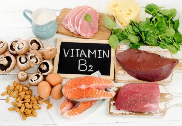 ビタミンB2を含む食べ物