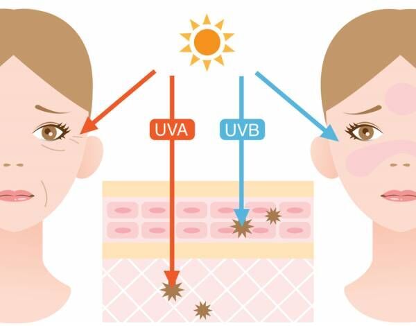 シミ シワ原因の8割は紫外線だった 美肌のために徹底的な紫外線対策を ウーマンエキサイト 1 5