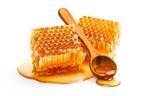 濃密な潤いをチャージ。夏疲れの肌を立て直す「蜂蜜スキンケア」のすすめ