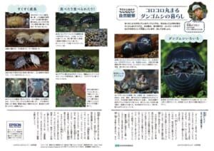 身近な自然と親しもう！日本自然保護協会が庭やベランダでできる自然観察ツールを無償公開