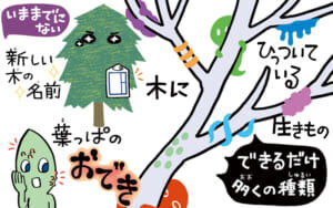 身近な自然と親しもう！日本自然保護協会が庭やベランダでできる自然観察ツールを無償公開