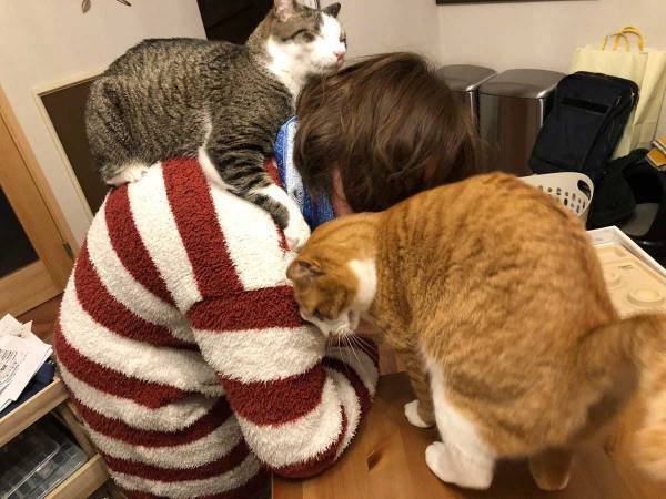 夫「なんて過酷なんだ…」　在宅勤務する妻の姿に、９万人が吹き出す