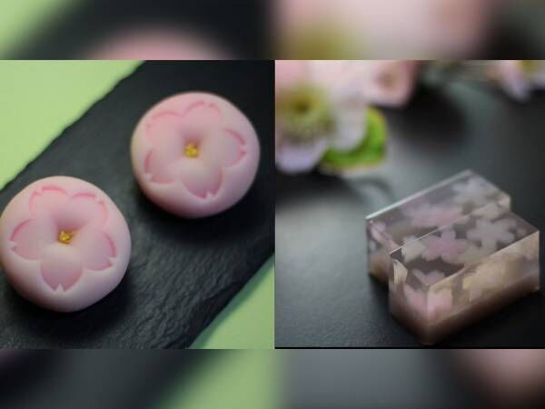 「花見もできない状況だから…」　和菓子で開催するお花見に反響【全８作品】