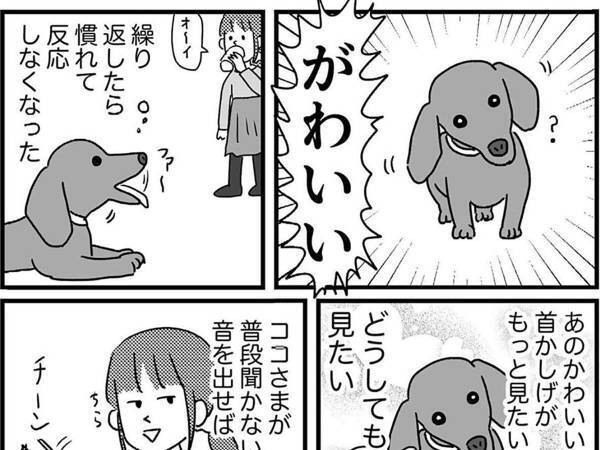 愛犬の『レア仕草』にメロメロな女性は？　「も、もう一度見せて…」