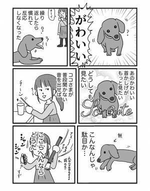 愛犬の『レア仕草』にメロメロな女性は？　「も、もう一度見せて…」