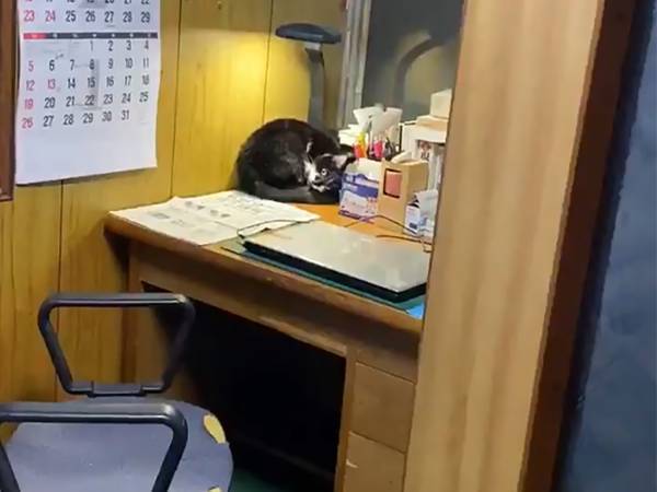 誰もいない部屋で『電気をつける音』が…　恐るおそるのぞくと？