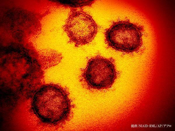 今さら聞けない？　感染拡大に伴い新たな単語続々　意味を説明した動画が公開