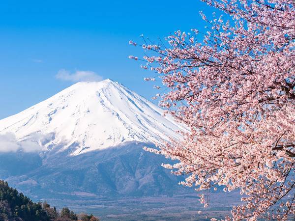 逃したら次は来年　『天赦日』と金運アップの『虎の日』が重なる１日が訪れる