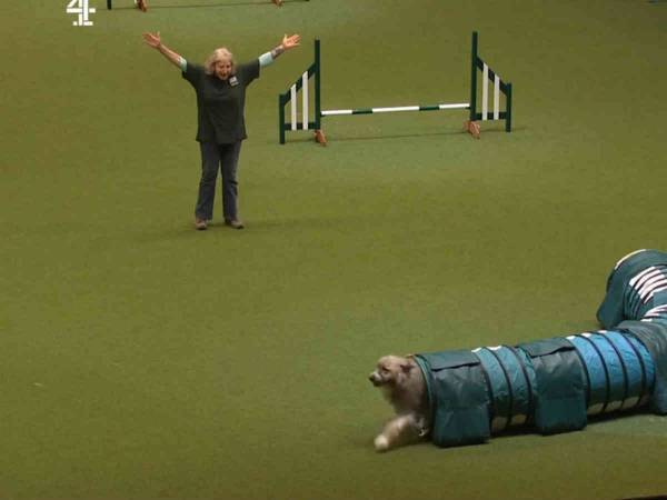 「ルール？何それ？」　障害物競走に出場した自由すぎる犬に観客が大歓声