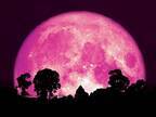 ４月７日深夜に見えるピンクムーンは少し特別！　２０２０年唯一の…