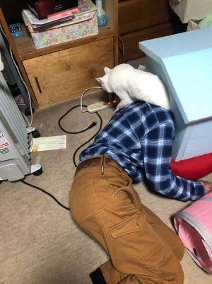 なぜそこで…　酔ったお父さんが寝落ちした場所に９万人が大爆笑！