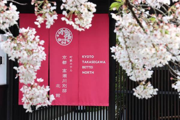 「感動しました」「とてもいい写真」　川に広がるピンクの絨毯の正体とは…