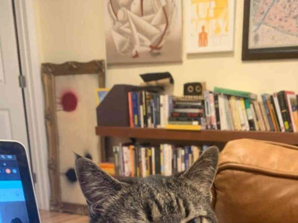 え、上司？　リモートワークをする男性の横で貫禄たっぷりに鎮座しているのは