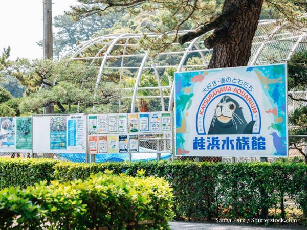 外出自粛で閑散とする水族館の『ある写真』に、２３万人がホロリ