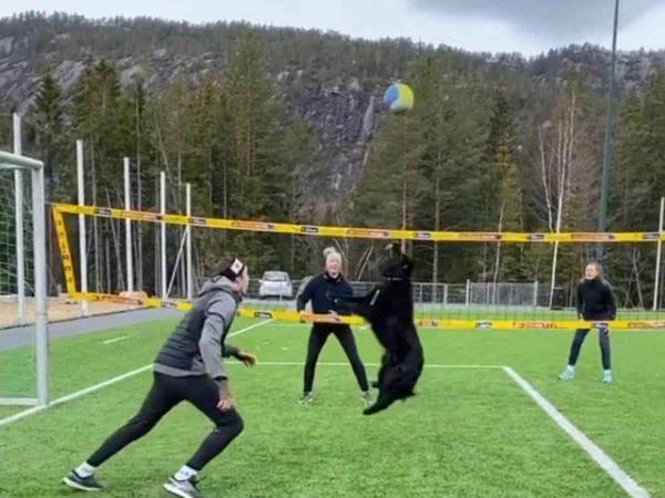 天才か！　試合の様子を投稿したビーチバレー選手　一緒にプレーしているのは？