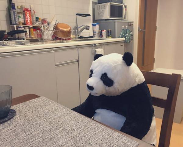 在宅勤務中、母親からもらった『パンダのぬいぐるみ』を置いていると？