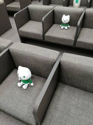 銀行の待合室にかわいい先客　実は重要な役割を果たしていた！