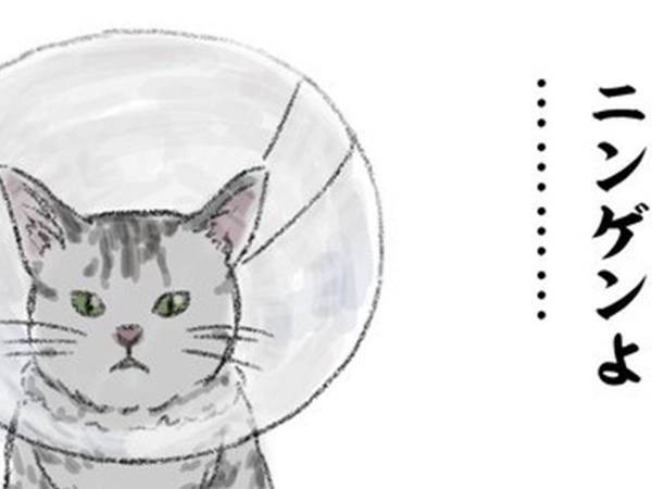 「人類へ、猫様からメッセージ」　まさかの感染対策に１２万人が吹き出す