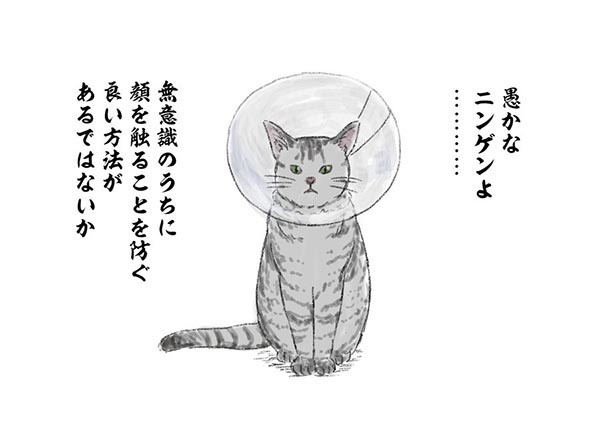 「人類へ、猫様からメッセージ」　まさかの感染対策に１２万人が吹き出す