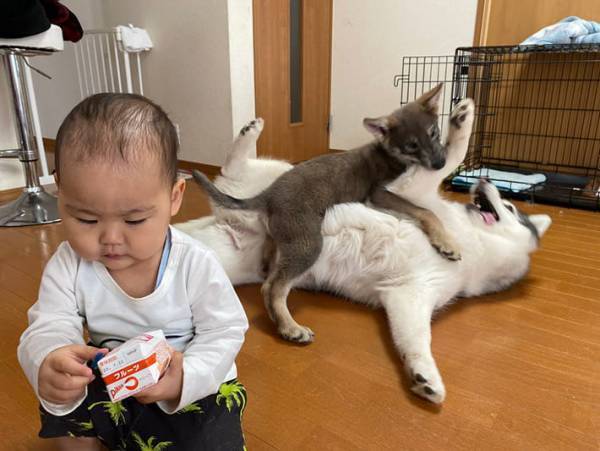 ジュースに夢中な赤ちゃんだけど…？　後ろの『光景』に、１９万人が吹き出す！