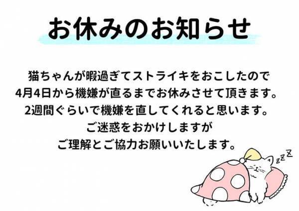 猫カフェが出した『休業の貼り紙』　内容をよく見ると…？