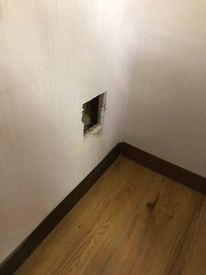 壁に穴をあけて子猫を救った男性　２日後、塞いだ場所から出てきたのは…？