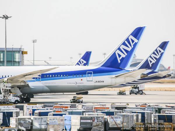 飛行機の空席を埋めたのは？　その光景に「応援してます」「頑張って」の声