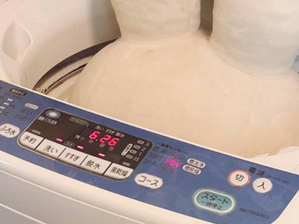 洗濯機を前に呆然とする夫婦　まさかの光景に爆笑「かくれんぼ下手か」「かわいい」