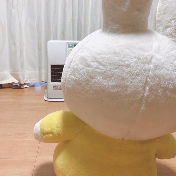 洗濯機を前に呆然とする夫婦　まさかの光景に爆笑「かくれんぼ下手か」「かわいい」