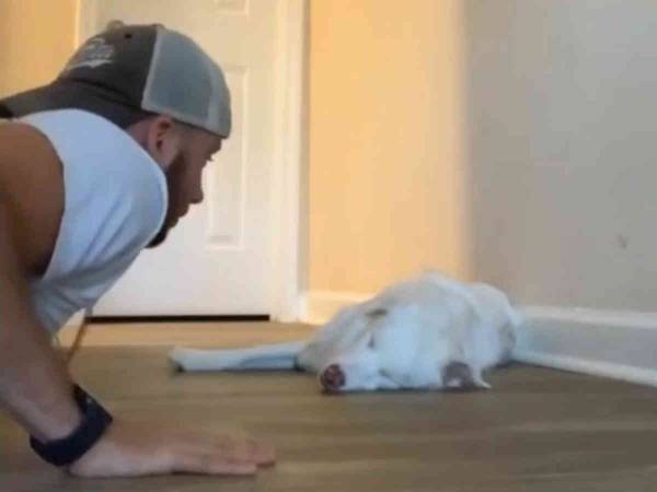 盲目で耳が聞こえない犬を起こす様子を披露した男性　その方法が優しすぎる