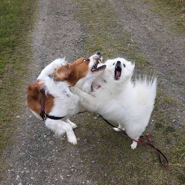 実家への帰省を控える娘　母から送られてきた『２枚』に、２２万人が爆笑