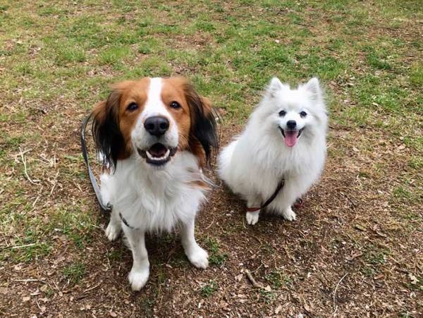 実家への帰省を控える娘　母から送られてきた『２枚』に、２２万人が爆笑