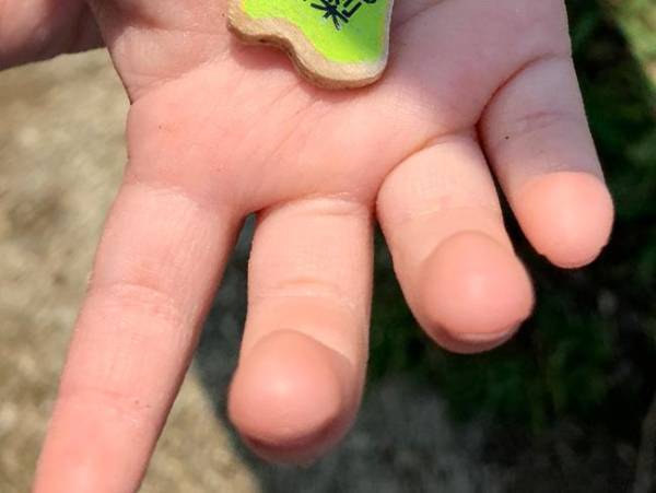 「１歳で支配するとは…」「大物の予感」　公園で息子が拾った物とは？